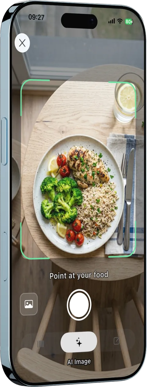 Camera view for estimating a meal from a photo
